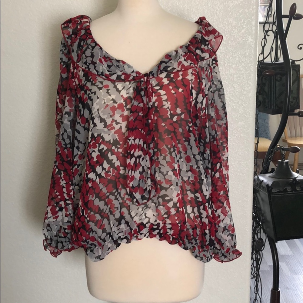 Sheer super cute top